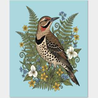 Vintage Northern Flicker Woodpecker and Ferns Posters and Art