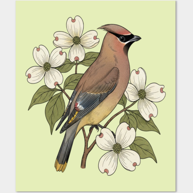 Cedar Waxwing Bird with Dogwood Flowers Wall Art by BirdsnStuff