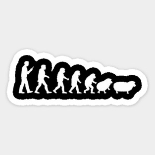 Human Evolution Back to Sheep Anti Establishment Satire Magnet
