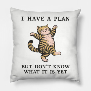 I Have A Plan But Don't Know What It Is Yet Carefree Vibes Pillow