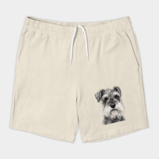 Schnauzer Shorts