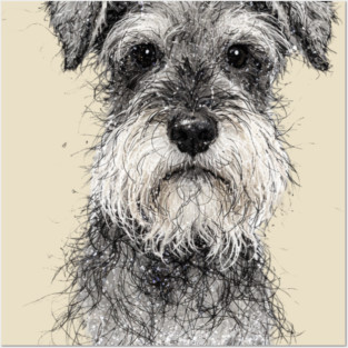 Schnauzer Posters and Art
