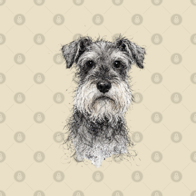 Schnauzer by CrazyGirl