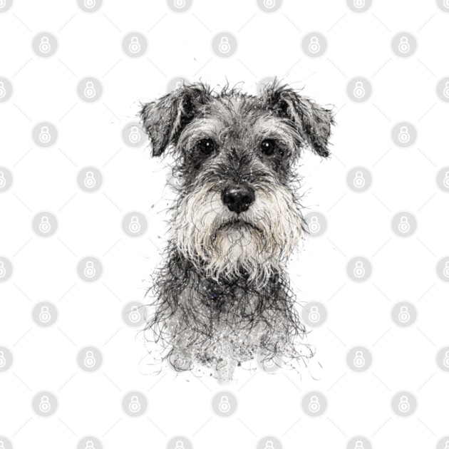 Schnauzer by CrazyGirl