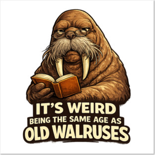 Funny Walrus Aging Humor Meme Same Age Old Walruses Posters and Art