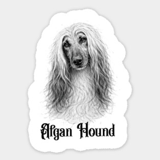 Afghan Hound Sticker