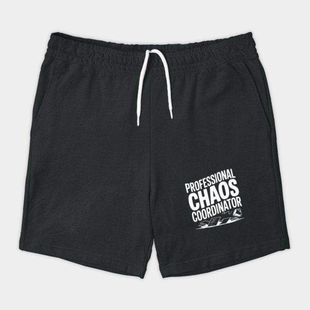 Professional Chaos Coordinator by Frank Ring