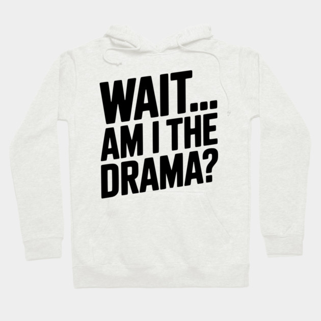 Wait... Am I The Drama? Hoodie by Frank Ring