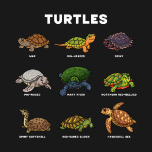 Cute Cartoon Turtles of the World T-Shirt