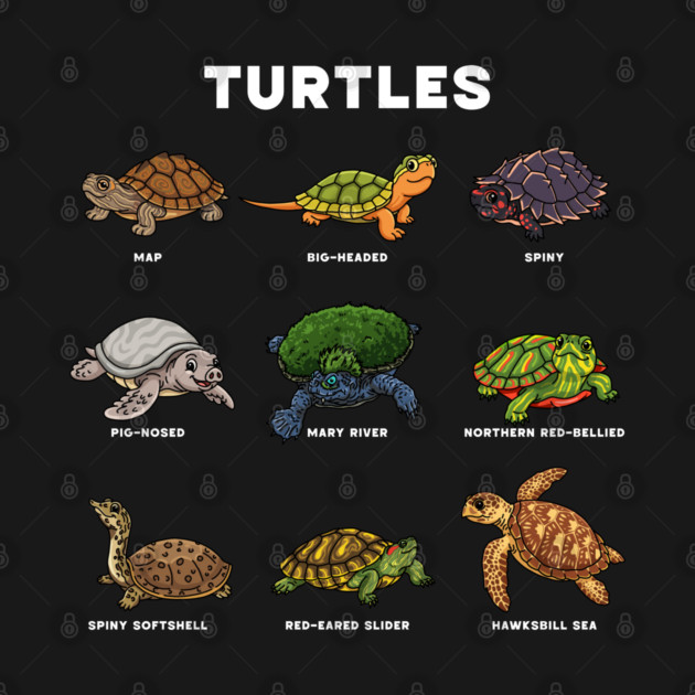 Cute Cartoon Turtles of the World by H. R. Sinclair