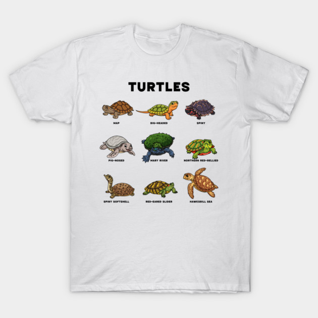 Cartoon Turtles T-Shirt by H. R. Sinclair