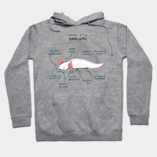 Anatomy of an Axolotl Hoodie