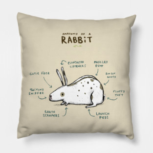 Anatomy of a Rabbit Pillow