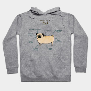 Anatomy of a Pug Hoodie