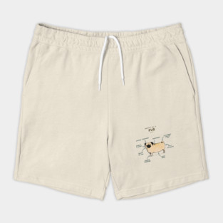 Anatomy of a Pug Shorts