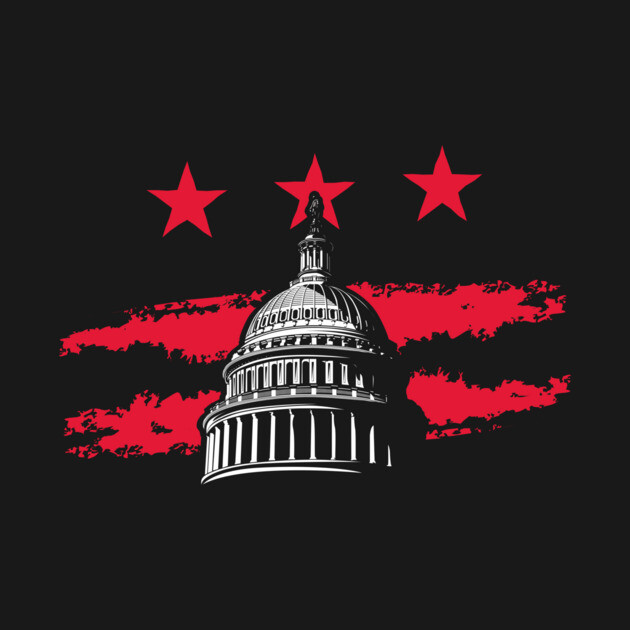 Washington DC Flag Capitol by stayfrostybro