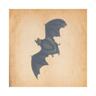 Bat T-Shirt