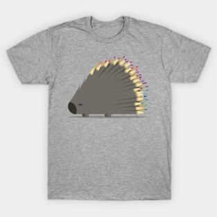Porcupencil - Kids Porcupine Rainbow T-Shirt