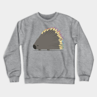 Porcupencil - Kids Porcupine Rainbow Crewneck Sweatshirt