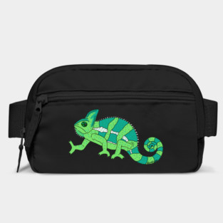 Chameleon Bag