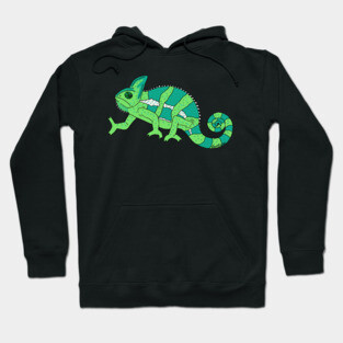 Chameleon Hoodie