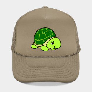 Turtle Hat