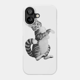Calico Cat Phone Case