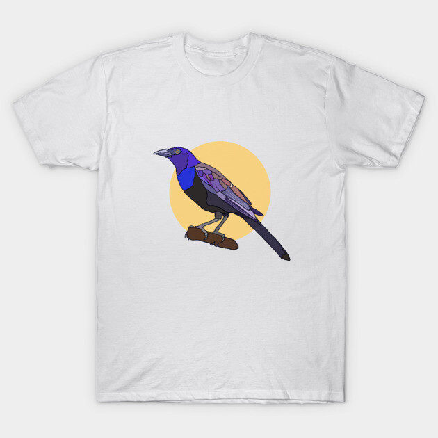 Common Grackle Birding T-Shirt TeePublic
