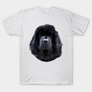 Newfoundland Puppy Dog T-Shirt