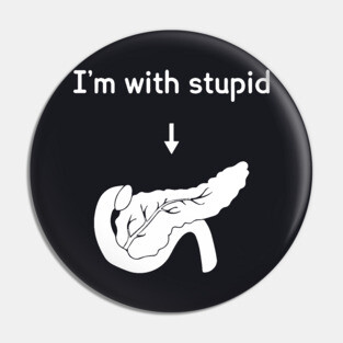 Im With Stupid Atheist Pin