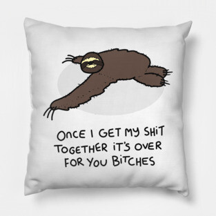 Grumpy Sloth Pillow