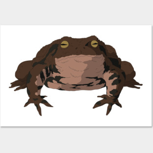 Frog Posters and Art