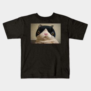 Daryl Takahashi Kids T-Shirt