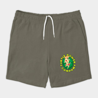 Turtle Power Company Shorts