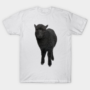 BLACK SHEEP T-Shirt