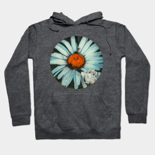 Daisy Flower Grunge Photograph Hoodie