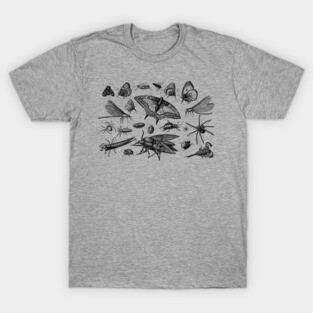 Insects T-Shirt