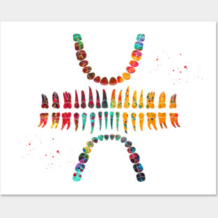 Teeth Posters and Art