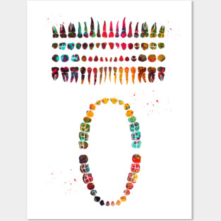 Teeth Posters and Art