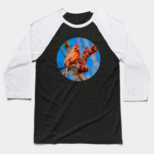 Hungry Cardinal Bird Photograph Baseball T-Shirt