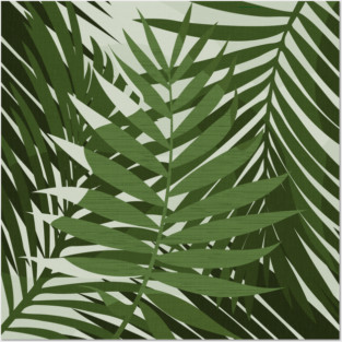 Green Palm Leaves / Illustration Posters and Art