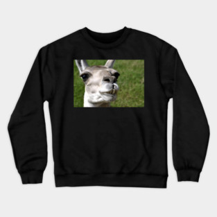 LLama Crewneck Sweatshirt