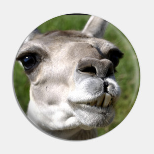 LLama Pin
