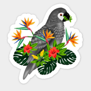 African Parrot, Tropical bird Floral Sticker