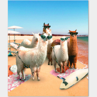 Funny Llama Beach Posters and Art