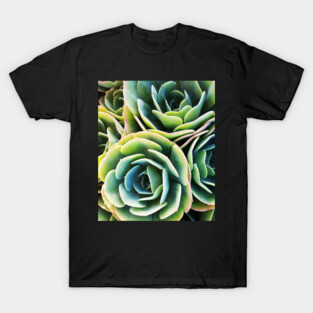 Succulent Rose T-Shirt