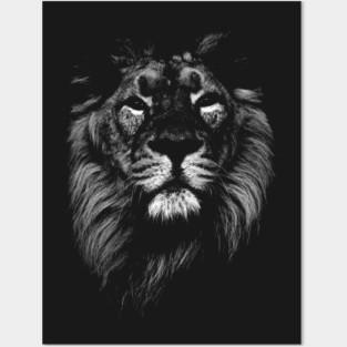 lion, indian lion Posters and Art